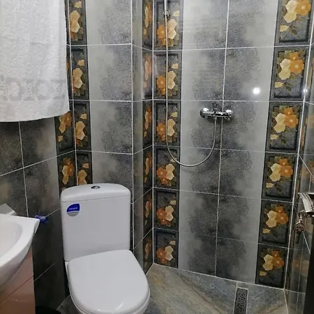 Casa Romanița * Văleni
