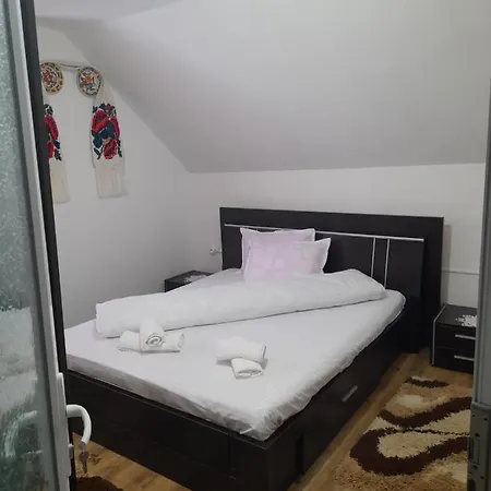 Casa Romanita